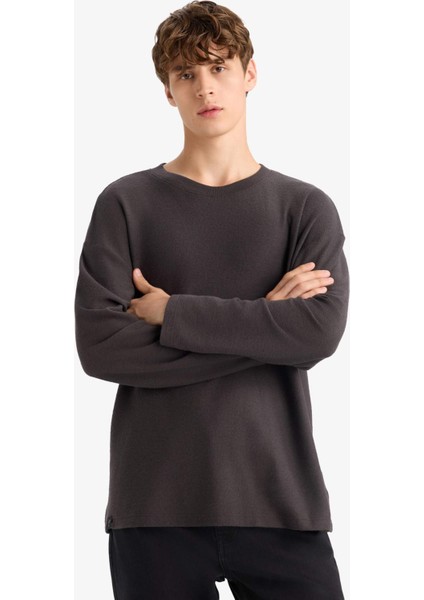 Boxy Fit Rahat Kesim Bisiklet Yaka Pamuklu Uzun Kollu Tişört E8437AX25AU