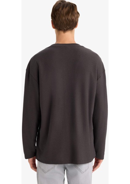 Boxy Fit Rahat Kesim Bisiklet Yaka Yumuşak Kumaş Basic Düz Sweatshirt F4642AX25AU