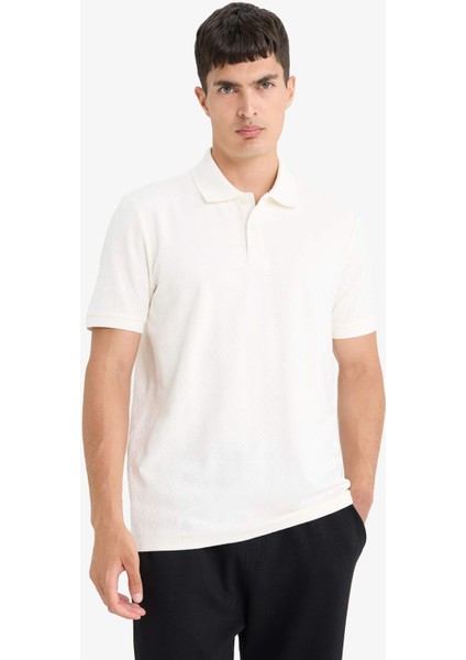 Triko Görünümlü Polo Yaka Kısa Kollu Tişört F4317AX25AU