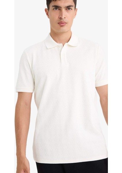 Triko Görünümlü Polo Yaka Kısa Kollu Tişört F4317AX25AU