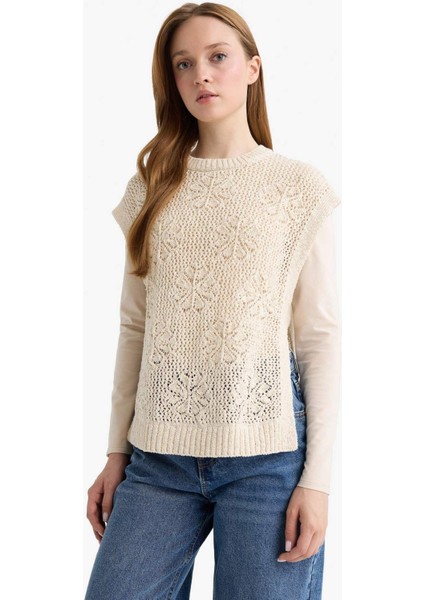 Bisiklet Yaka Nakışlı Triko Süveter F3296AX25AU