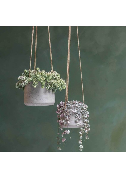 Patt M Gri Askılı Fiberstone Saksı Krem modelleri