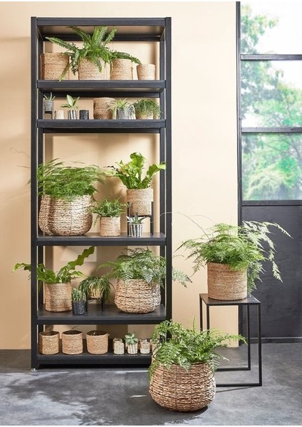 Avalon Orta Boy Hasır Saksı indirimleri