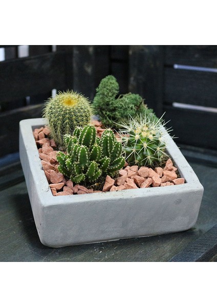 Kare Beton Saksı 10CM Gri fırsatları