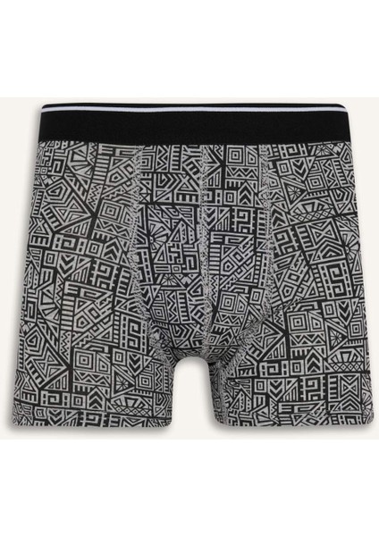 Regular Fit Baskılı 3'lü Boxer E0125AX25AU