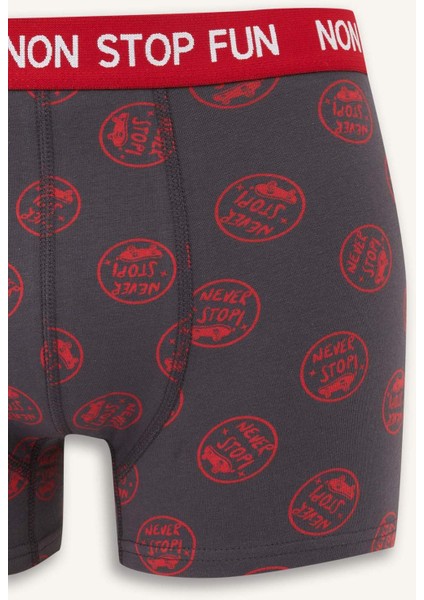 Regular Fit Desenli 3'lü Boxer B4782AX25AU