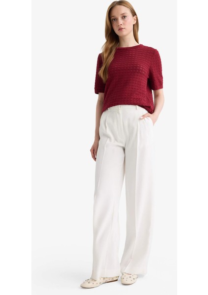 Regular Fit Bisiklet Yaka Kısa Kollu Triko Kazak F4974AX25AU