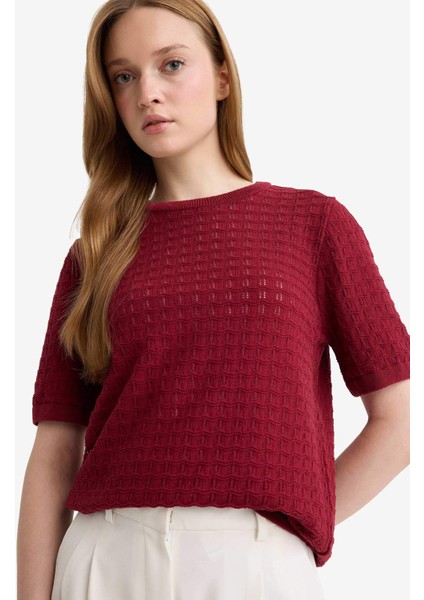 Regular Fit Bisiklet Yaka Kısa Kollu Triko Kazak F4974AX25AU
