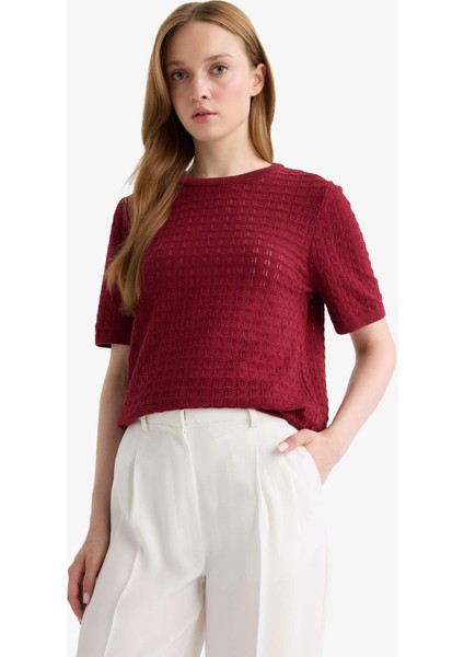 Regular Fit Bisiklet Yaka Kısa Kollu Triko Kazak F4974AX25AU