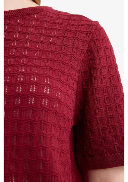 Regular Fit Bisiklet Yaka Kısa Kollu Triko Kazak F4974AX25AU