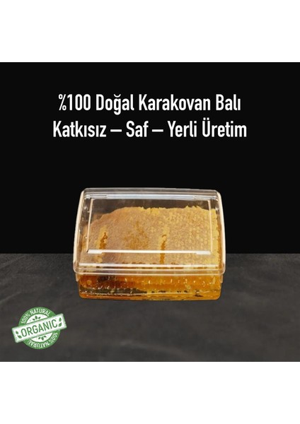 Bingöl Organik Karakovan Petek Bal Mika 700 gr