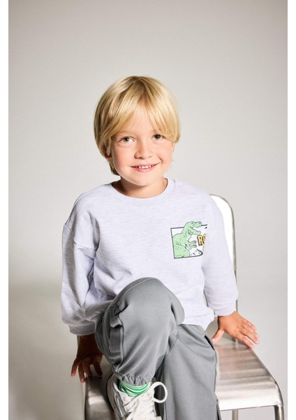 Erkek Bebek Bisiklet Yaka Dinozor Baskılı İçi Yumuşak Tüylü Sweatshirt F5020A525AU