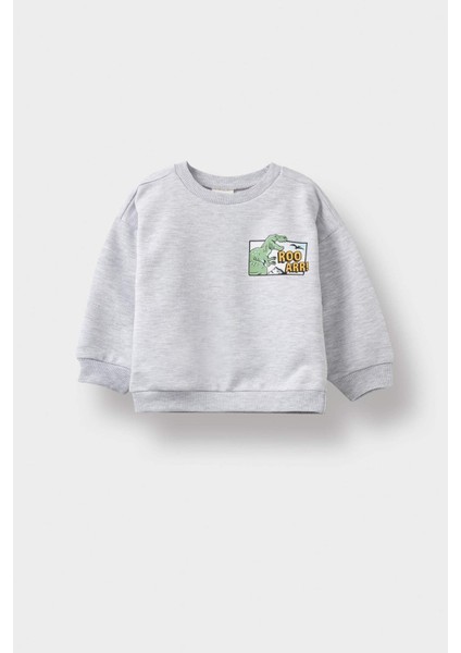 Erkek Bebek Bisiklet Yaka Dinozor Baskılı İçi Yumuşak Tüylü Sweatshirt F5020A525AU