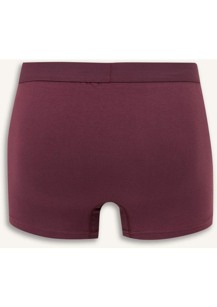 Regular Fit 3'lü Boxer E0023AX25AU