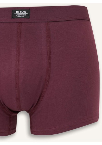 Regular Fit 3'lü Boxer E0023AX25AU