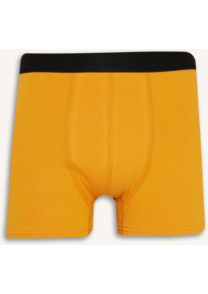 Regular Fit 3'lü Boxer F7572AX25AU