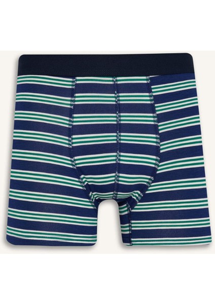 Regular Fit Çizgili 3'lü Boxer E0123AX25AU