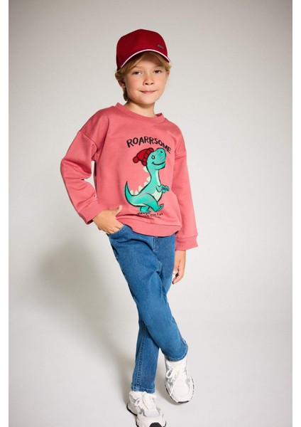 Erkek Bebek Bisiklet Yaka Dinozor Baskılı İçi Yumuşak Tüylü Sweatshirt F4531A525AU