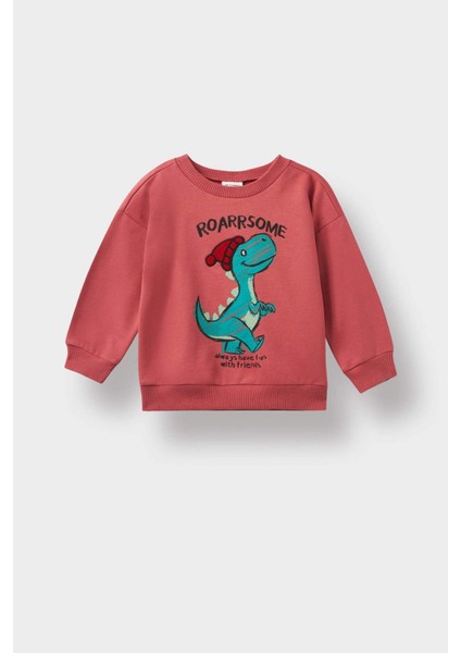 Erkek Bebek Bisiklet Yaka Dinozor Baskılı İçi Yumuşak Tüylü Sweatshirt F4531A525AU