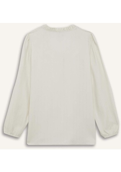 Regular Fit Bisiklet Yaka Simli Kumaş Uzun Kollu Gömlek F0226AX25AU