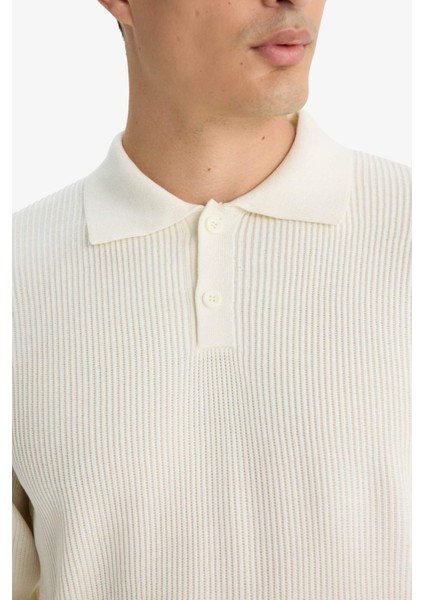 Standart Fit Polo Yaka Düğmeli Triko Kazak D1959AX25AU