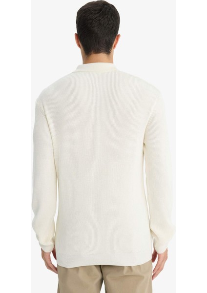 Standart Fit Polo Yaka Düğmeli Triko Kazak D1959AX25AU