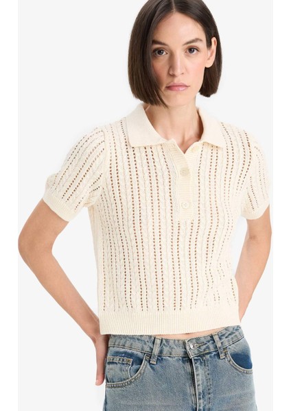 Regular Fit Polo Yaka Ajurlu Triko Kazak F7870AX25AU