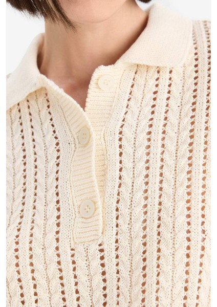 Regular Fit Polo Yaka Ajurlu Triko Kazak F7870AX25AU