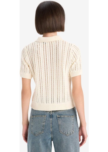 Regular Fit Polo Yaka Ajurlu Triko Kazak F7870AX25AU