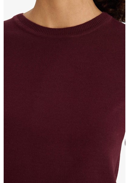 Regular Fit Bisiklet Yaka Kısa Kollu Triko Kazak