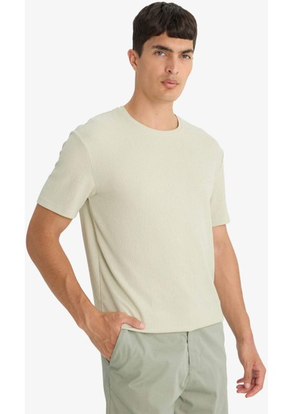 Regular Fit Bisiklet Yaka Dokulu Kısa Kollu Tişört F8480AX25AU