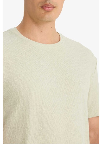 Regular Fit Bisiklet Yaka Dokulu Kısa Kollu Tişört F8480AX25AU