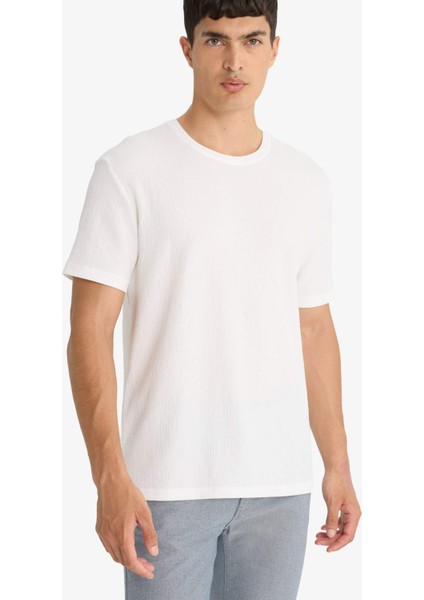 Regular Fit Bisiklet Yaka Dokulu Kısa Kollu Tişört F8480AX25AU