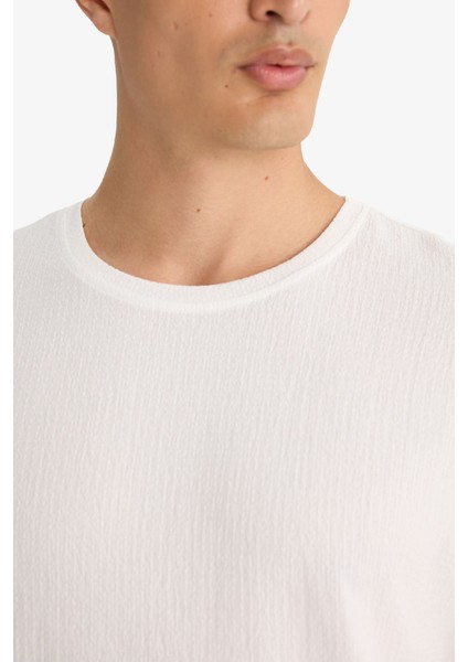 Regular Fit Bisiklet Yaka Dokulu Kısa Kollu Tişört F8480AX25AU