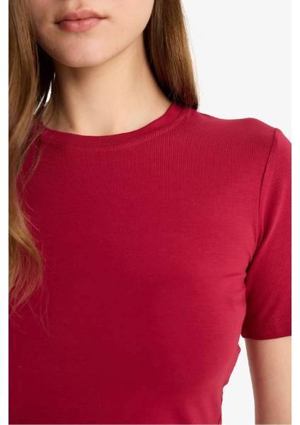 Fitted Crop Basic Düz Kısa Kollu Tişört F8924AX25HS
