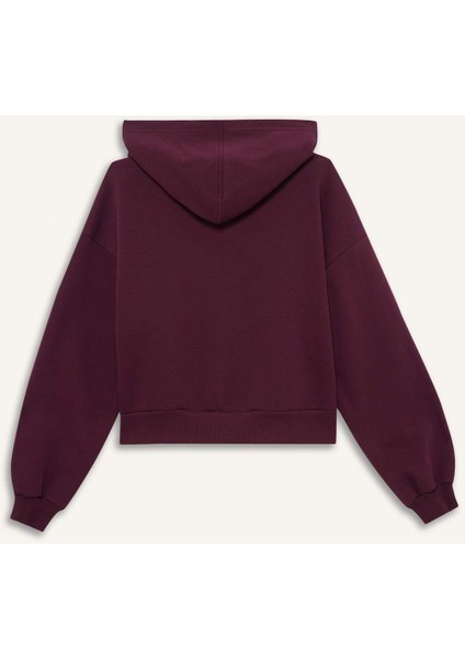 Cropped Fit Kapüşonlu Kalın Fermuarlı Sweatshirt Z7069AZ25WN