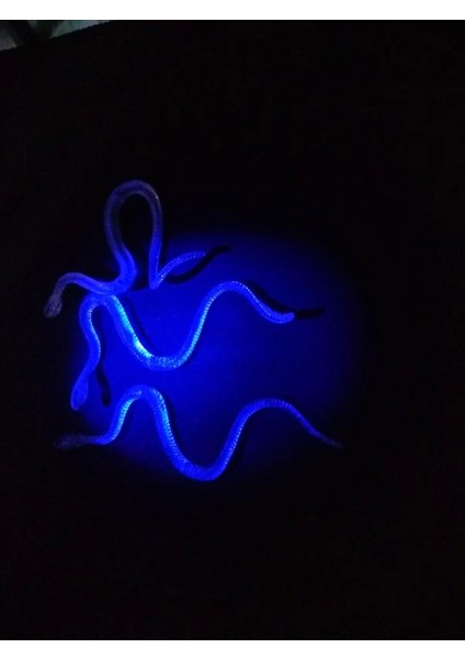 Bfs Nessiworld Şaka Yılan ve Kırkayak Karışık 36 Adet indirimleri