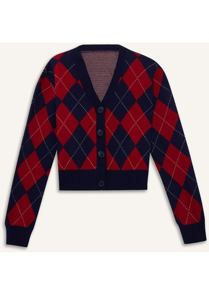 Fitted V Yaka Baklava Desenli Düğmeli Hırka F9566AX25WN