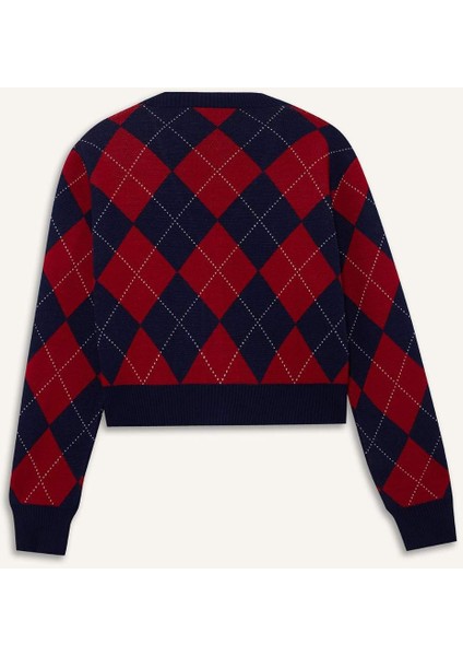 Fitted V Yaka Baklava Desenli Düğmeli Hırka F9566AX25WN