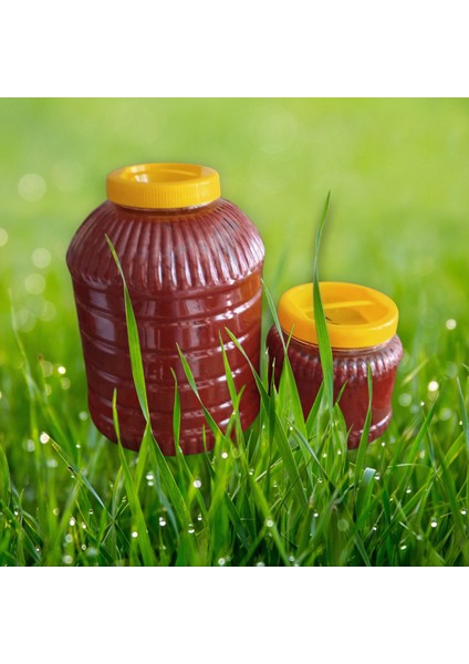 Domates Salçası Ev Yapımı 5 kg fırsatları