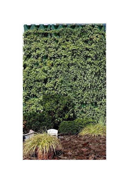 Dikey Bahçe Modülü Yeşil fiyatları