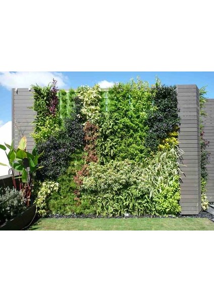 Dikey Bahçe Modülü Yeşil indirimleri