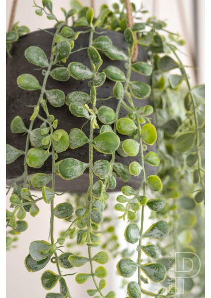 Eileen S Askılı Fiberstone Saksı Antrasit modelleri