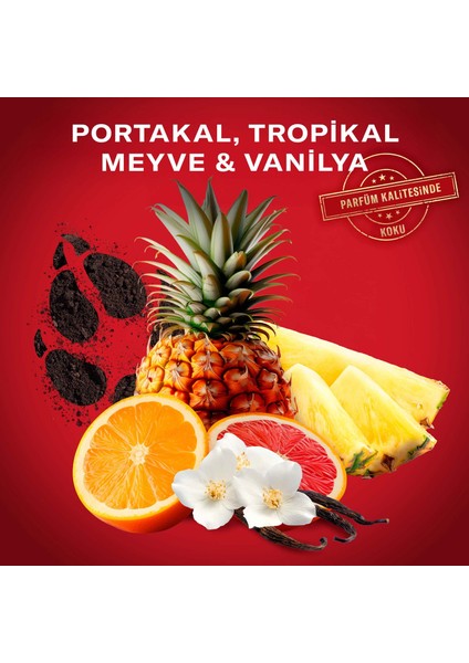 Gamer Hediye Seti: Wolfthorn deodorant Stick 50 Ml + duş jeli 250ML