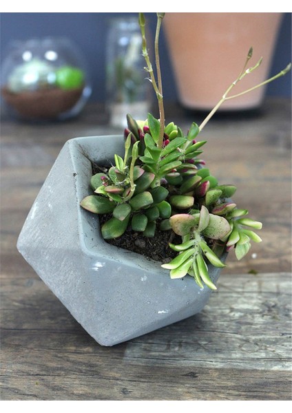 Elmas Beton Saksı 2 Gri modelleri