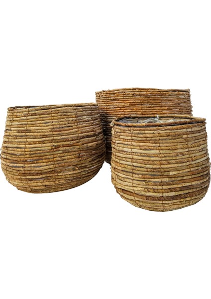 Avalon Büyük Boy Hasır Saksı fırsatları