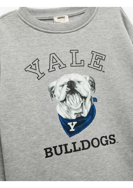 Lisanslı Uzun Kollu Bisiklet Yaka Baskılı Şardonlu Sweatshirt modelleri