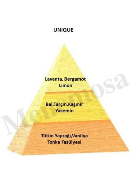 Unıque + Unıque Unisex Parfüm Edp Oriental - Mnmsunı2 indirimleri