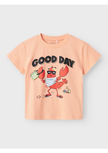 NMMFISH NREG SS TOP BOX Pembe Erkek Çocuk Kısa Kol T-Shirt