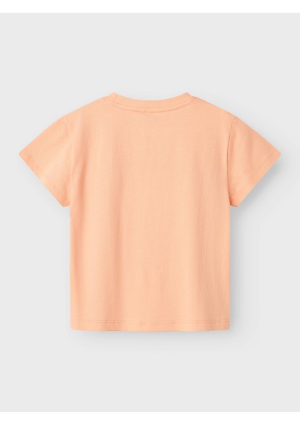 NMMFISH NREG SS TOP BOX Pembe Erkek Çocuk Kısa Kol T-Shirt fiyatları